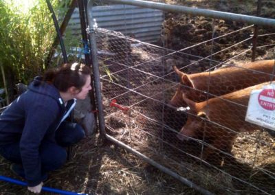 WWOOFer with Pigs