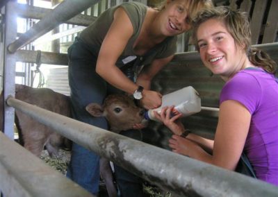 WWOOFers feeding calf