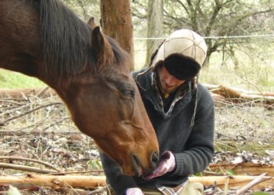 i15-14931 Dario Veri & horse4