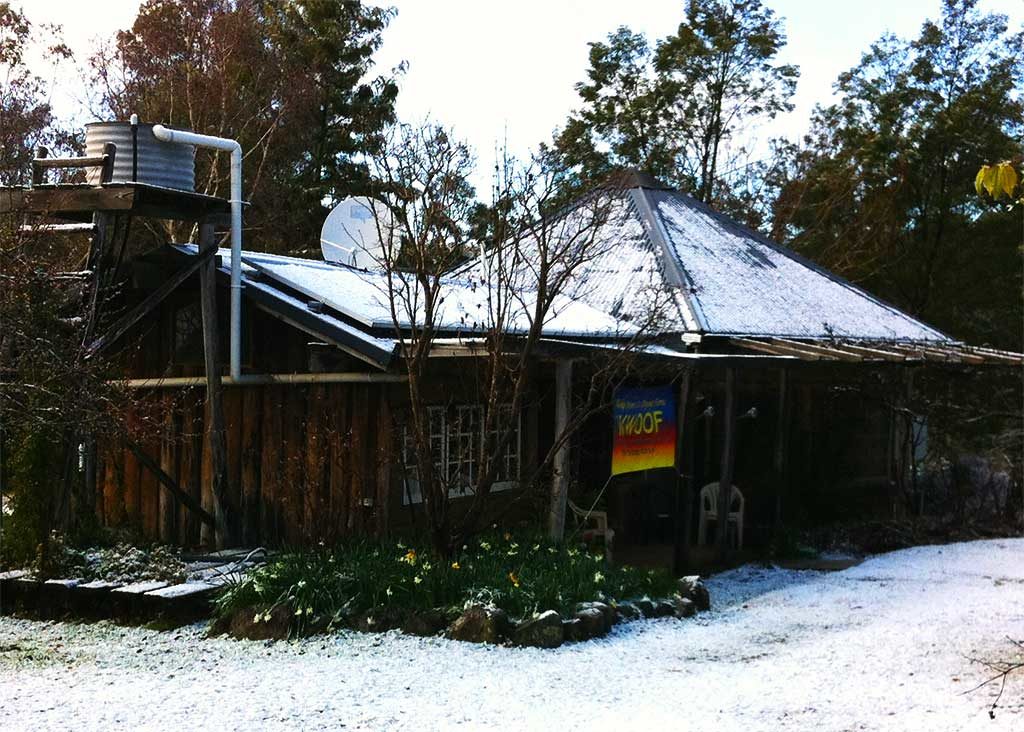 wwoof office