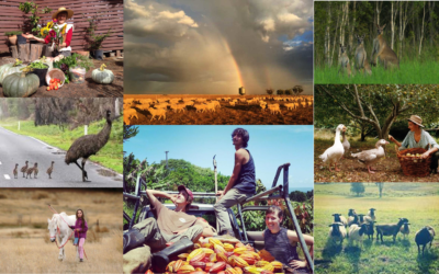 Why WWOOF?