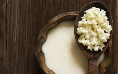 Gut Health- Have you ever tried to make your own Kefir?