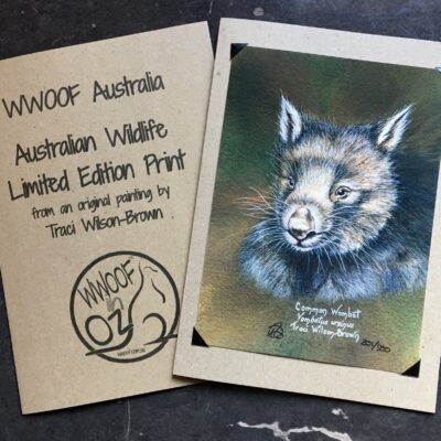 Wombat print