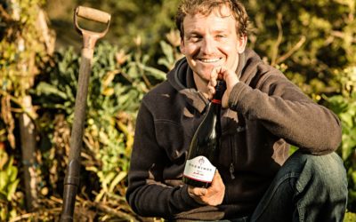 WWOOF at a Vineyard? Try Ngeringa Wines