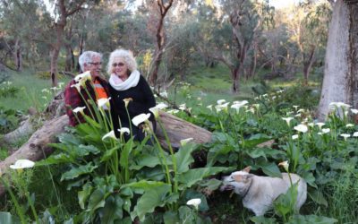 WWOOFing in Baldivis