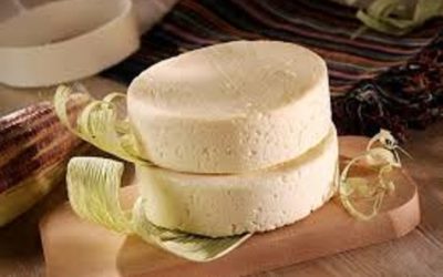 Learn about cheese making WWOOFing