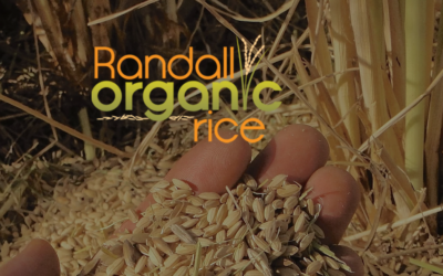 Randall Organic Rice