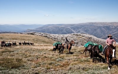 Victoria’s High Country – A must for all WWOOFer’s!