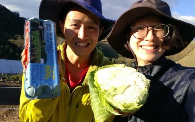 Takamichi & Rina say WWOOF is amazing!