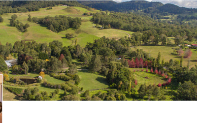 Crystal Creek Meadows