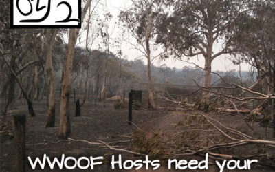 Have you been affected by the Bushfires?