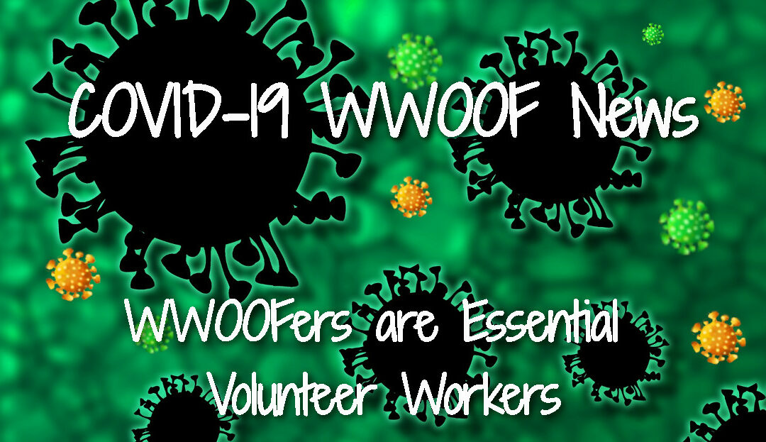 COVID News for WWOOF