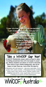 WWOOF Gap year flyer