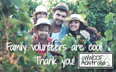 Family Volunteers are Cool, Thank you.