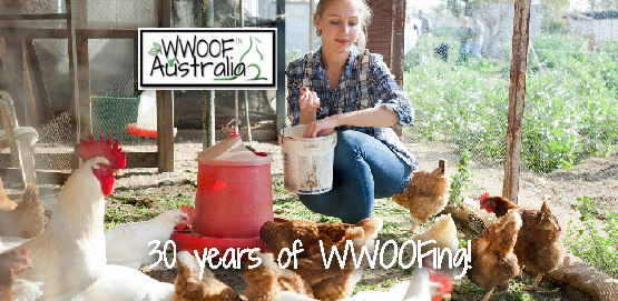 WWOOFing on and off for 30 years!