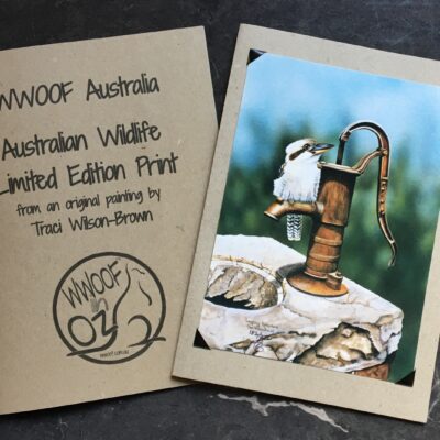 Kookaburra on water pump print