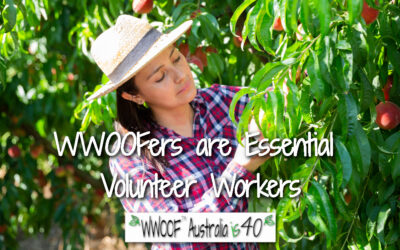WWOOFers are Essential Volunteers