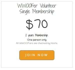 Join WWOOF on a Single volunteer membership 
