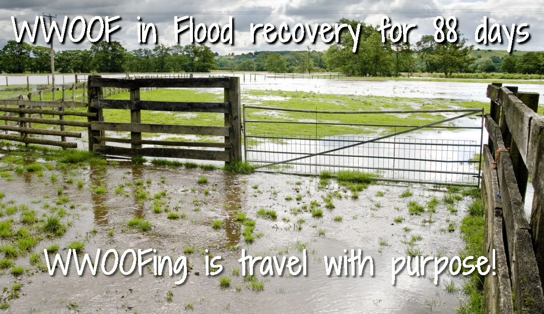 WWOOF in Flood recovery for visa extensions