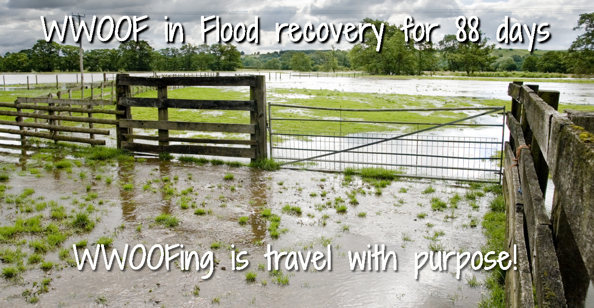 WWOOF in Flood recovery for visa extensions
