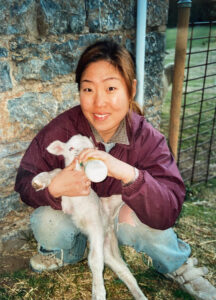  Korean WWOOFer Eunmi feeding a lamb