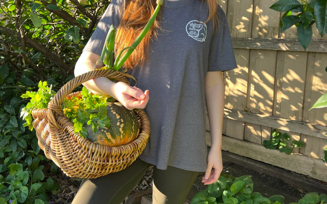 New WWOOF T-Shirts are now in Stock!