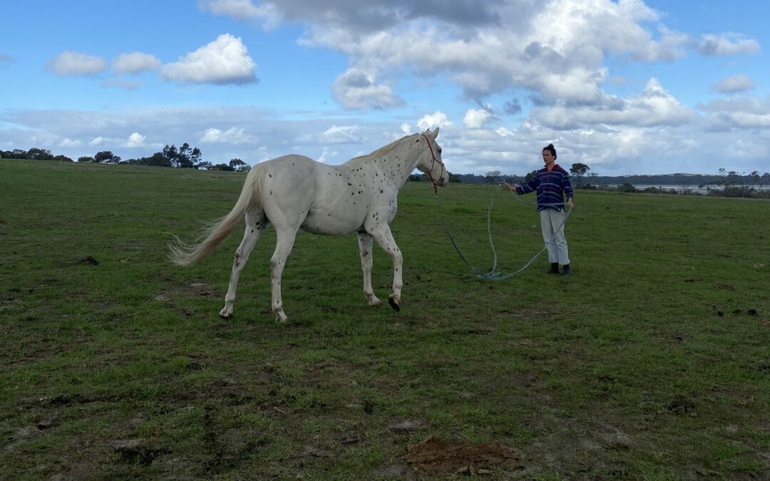 WWOOFing in Australia – Jess’ Story