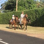 Profile picture of The O'Connell Family