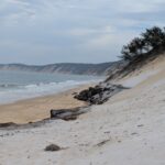 Profile picture of Fabian Hine