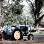 Profile picture of Blue Tractor Farm