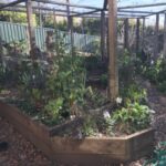 Profile picture of The Urban Farmer Blue Mountains