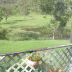 Profile picture of Deep Gully Farm