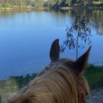 Profile picture of Kathleen & Danny Chrisp