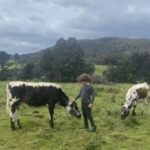 Profile picture of Kermandie Ridge Farm Sanctuary