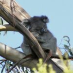 Profile picture of stuart and victoria