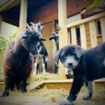 Profile picture of Randall Wood, Diana Segura, Elizabeth Scott