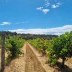 Profile picture of Jess