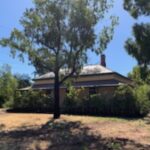 Profile picture of Peter Hemmings