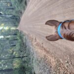 Profile picture of Crystal Valley Farm