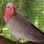 Profile picture of Barbara Walker