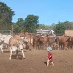 Profile picture of Hidden Valley Station