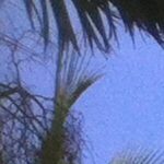 Profile picture of Brian & Eliza Forbes