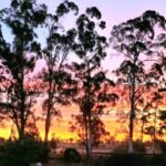 Profile picture of Gippsland Oasis