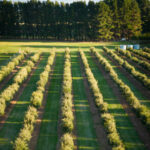 Profile picture of Winter Creek Farm