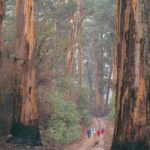 Profile picture of Nanâ