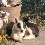 Profile picture of Abby Green
