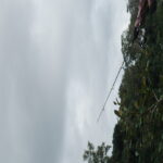 Profile picture of Kanami Sakamoto