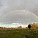 Profile picture of Phoenix Farm