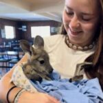 Profile picture of Marie Schulte Huettemeister