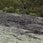 Profile picture of Ray Lord